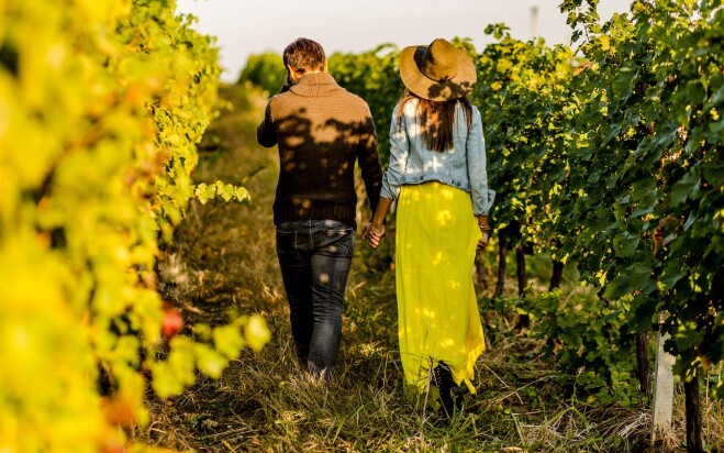 wineries breweries sunshine coast