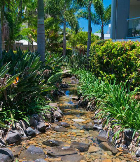 Running streams coolum at the beach