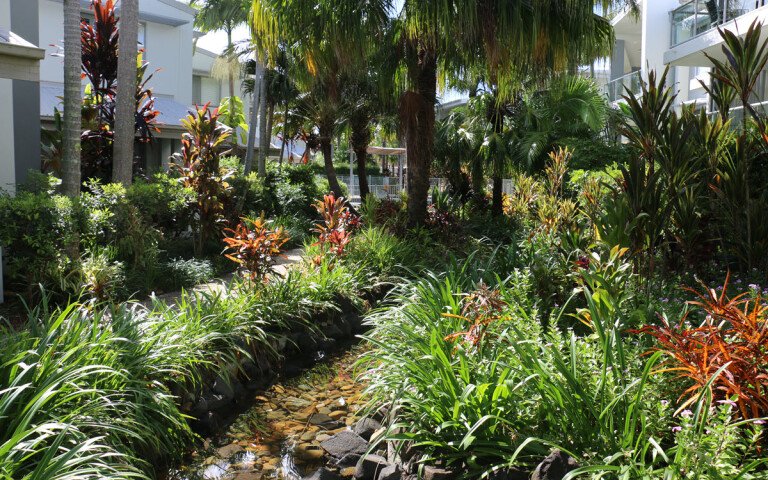 Tropical Gardens