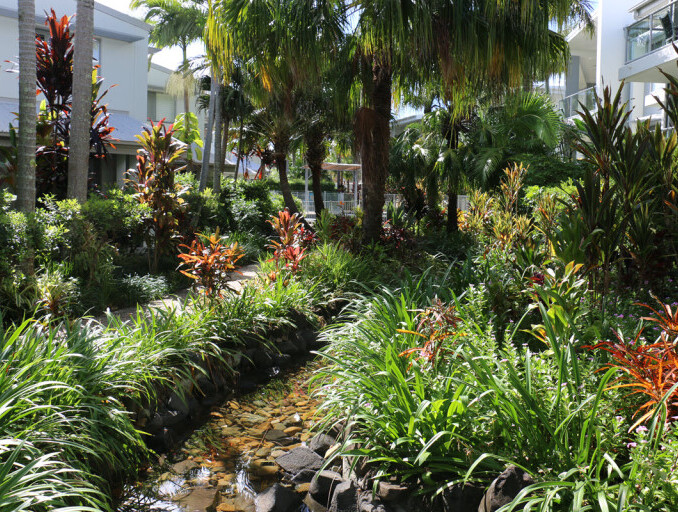 Tropical Gardens